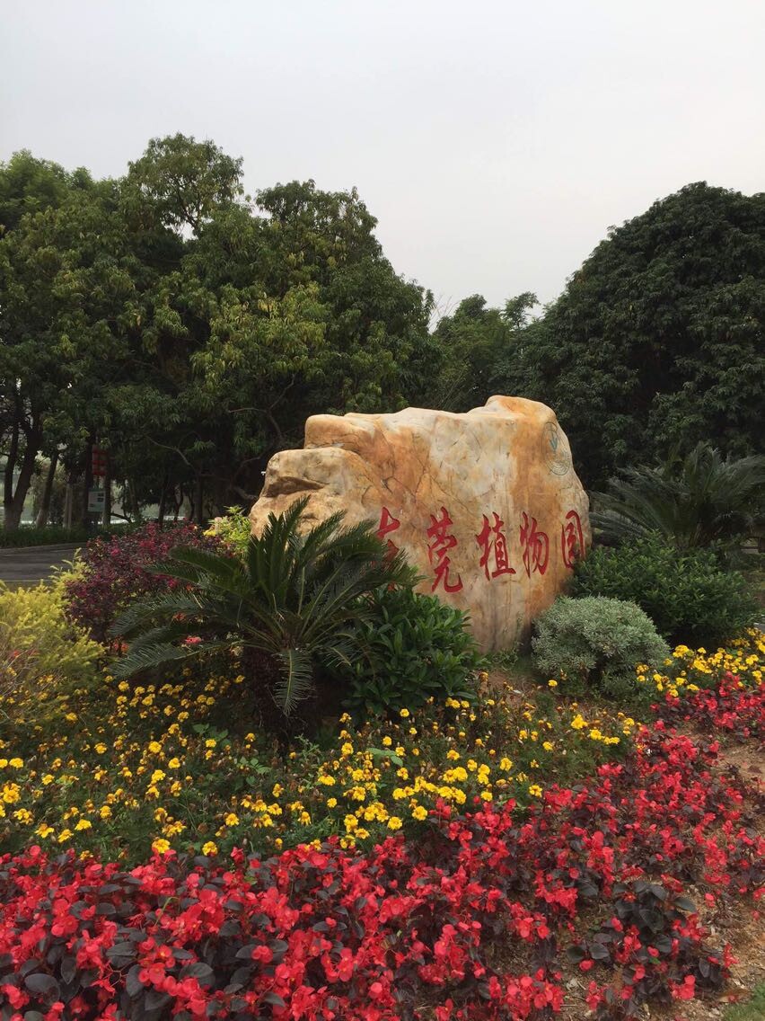 天派健康之旅