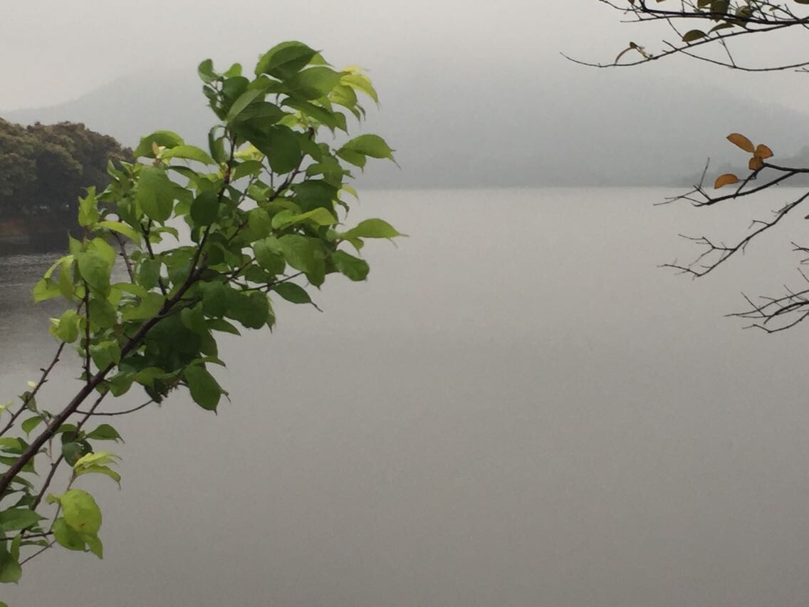 天派同沙湖暴走