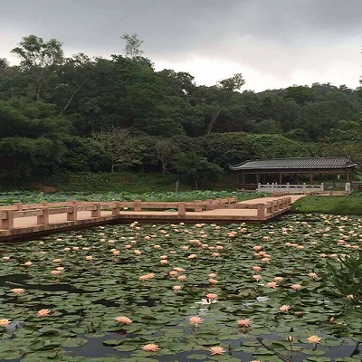 天派包装户外活动